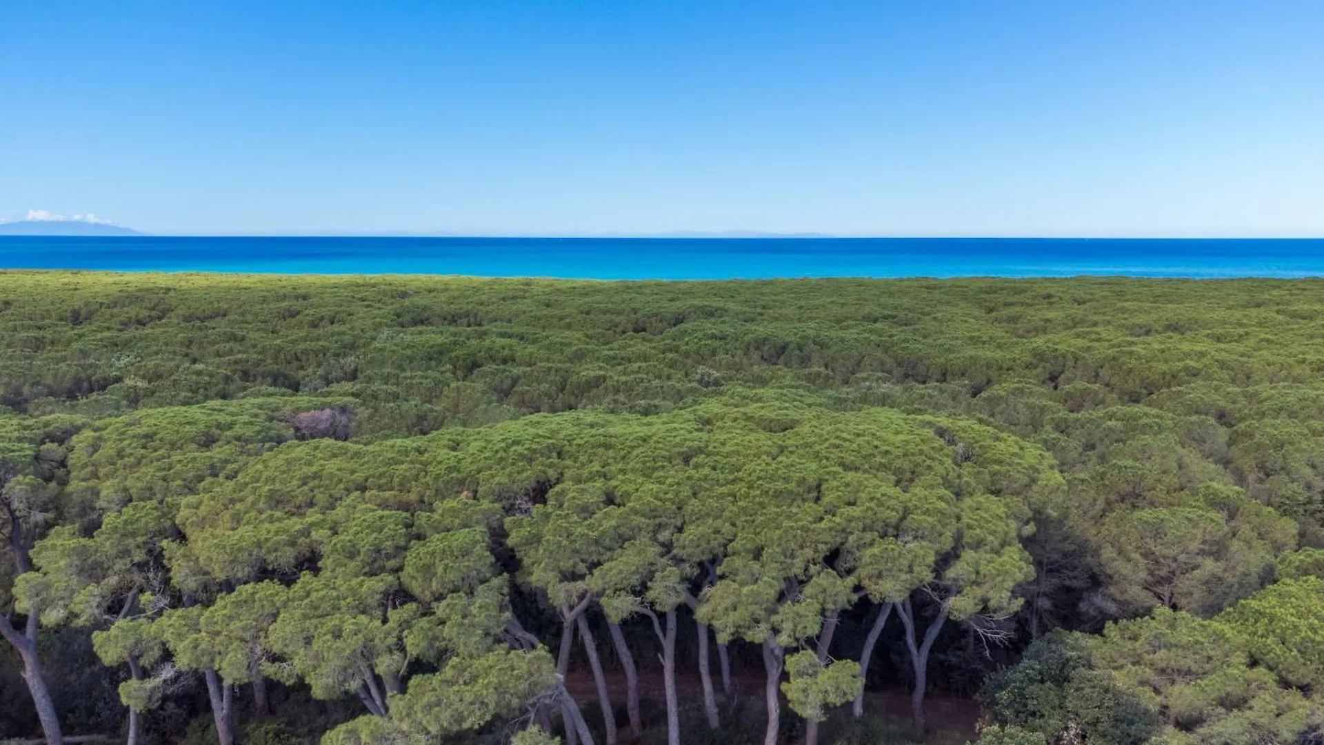 Apartment Casa E Mare By Interhome Marina di Cecina
